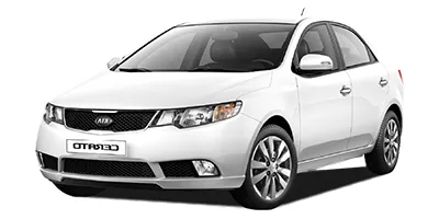 cerato