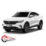 سیبک طبق چپ دیگنیتی