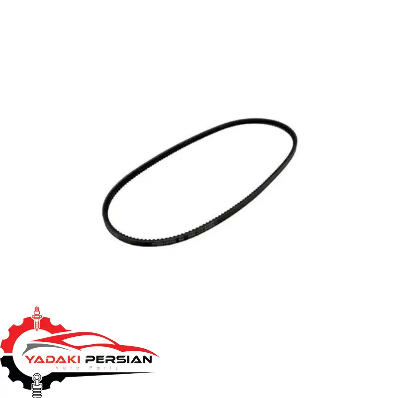 تسمه تایم دیگنیتی